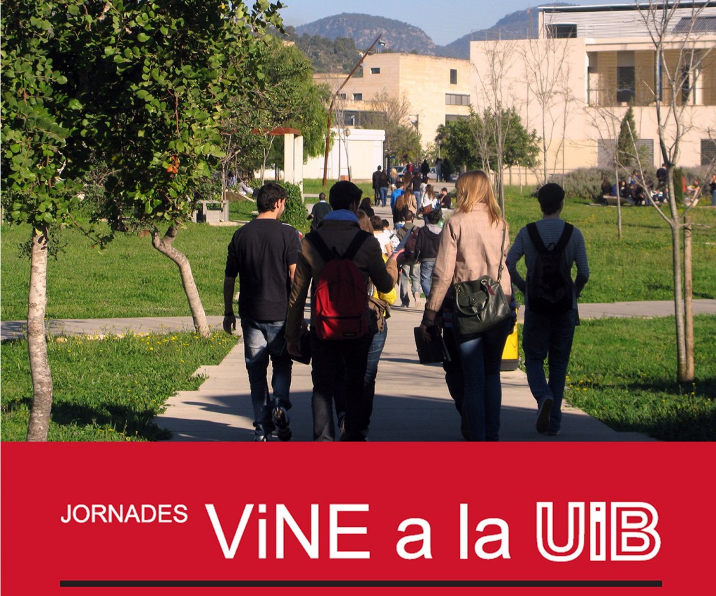 vine_uib