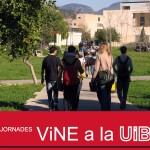 231912_vine-uib