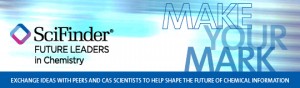2014flic_banner